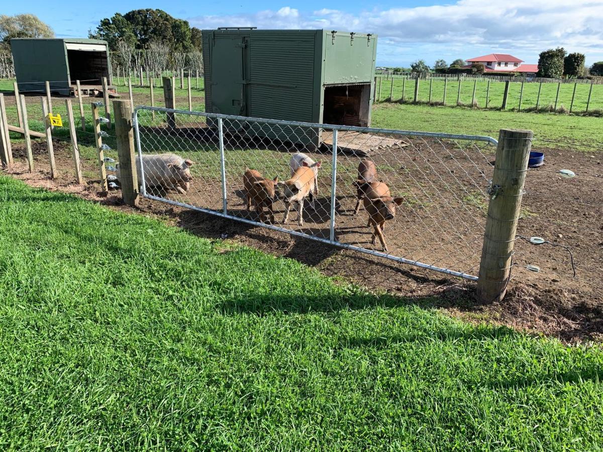 Brixton Farm Stay Waitara Exterior photo